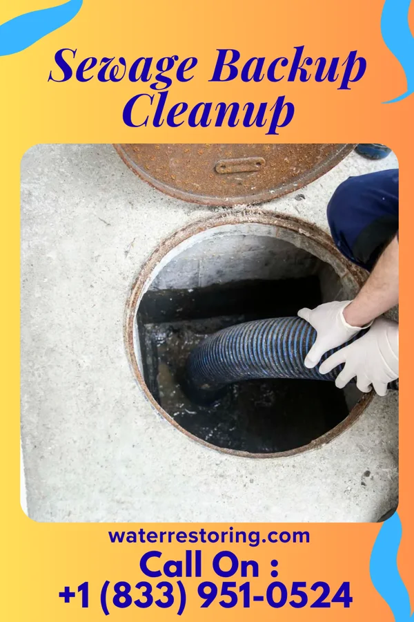 Sewage Backup Cleanup in Pick City, ND